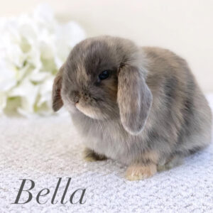 Bella
