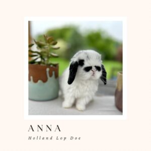 Anna