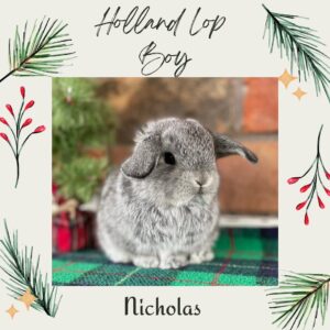Nicholas